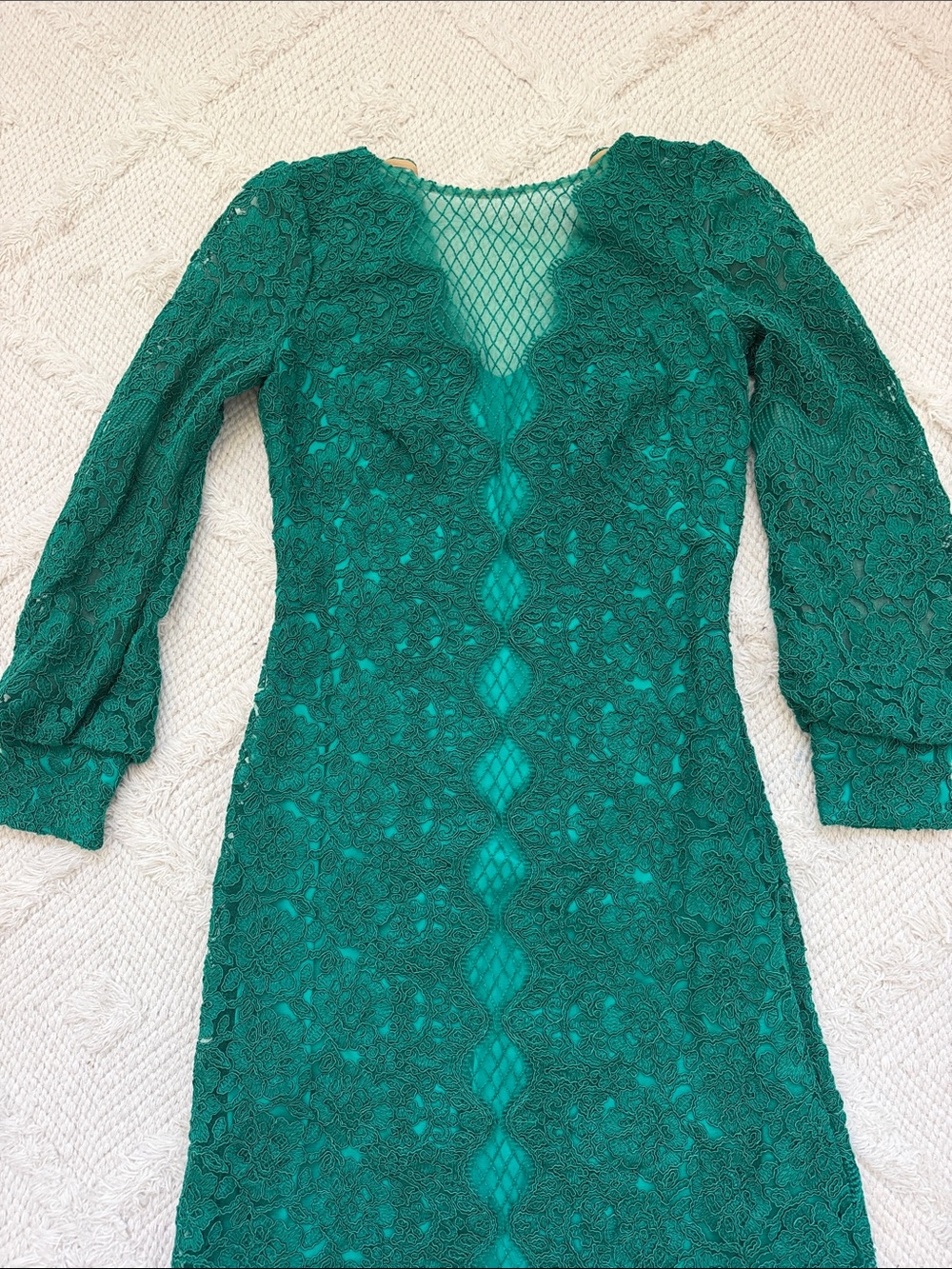 Tadashi Shoji Wohler Cord Embroidered Tulle Gown - Picture 3 of 5